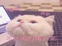 永州市隔远方计算机有限公司
