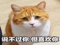 永州市隔远方计算机有限公司