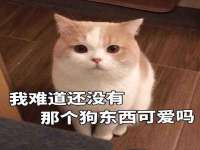 永州市隔远方计算机有限公司