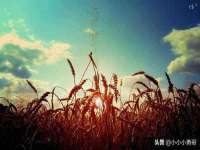 永州市隔远方计算机有限公司