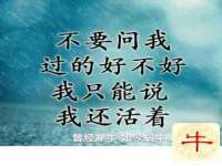 永州市隔远方计算机有限公司