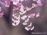 永州市隔远方计算机有限公司