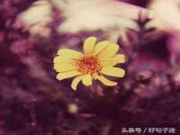永州市隔远方计算机有限公司