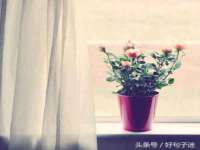 永州市隔远方计算机有限公司