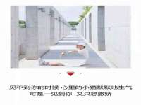 永州市隔远方计算机有限公司