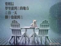 永州市隔远方计算机有限公司