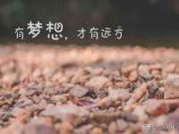 永州市隔远方计算机有限公司