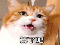永州市隔远方计算机有限公司