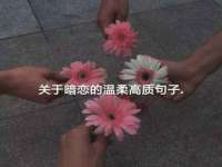 永州市隔远方计算机有限公司