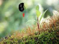 永州市隔远方计算机有限公司