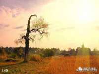 永州市隔远方计算机有限公司