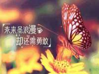 永州市隔远方计算机有限公司