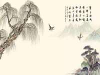 永州市隔远方计算机有限公司
