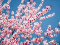 永州市隔远方计算机有限公司