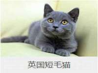 永州市隔远方计算机有限公司
