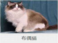 永州市隔远方计算机有限公司