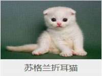 永州市隔远方计算机有限公司