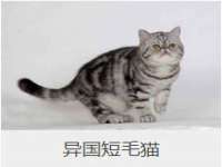 永州市隔远方计算机有限公司