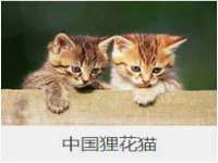 永州市隔远方计算机有限公司
