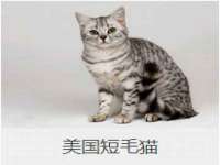 永州市隔远方计算机有限公司