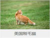 永州市隔远方计算机有限公司