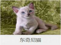 永州市隔远方计算机有限公司