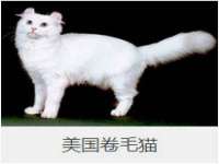 永州市隔远方计算机有限公司