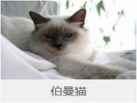 永州市隔远方计算机有限公司