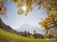 永州市隔远方计算机有限公司
