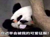 永州市隔远方计算机有限公司