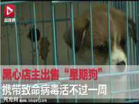 永州市隔远方计算机有限公司