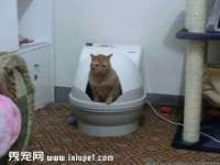 永州市隔远方计算机有限公司