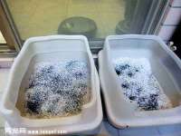 永州市隔远方计算机有限公司