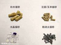 永州市隔远方计算机有限公司
