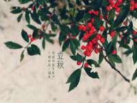 永州市隔远方计算机有限公司