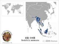 永州市隔远方计算机有限公司