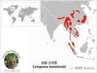 永州市隔远方计算机有限公司