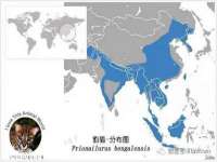 永州市隔远方计算机有限公司