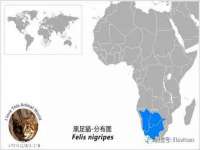 永州市隔远方计算机有限公司