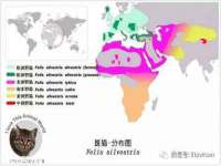 永州市隔远方计算机有限公司