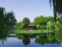 永州市隔远方计算机有限公司