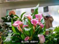 永州市隔远方计算机有限公司