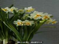 永州市隔远方计算机有限公司