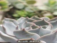 永州市隔远方计算机有限公司