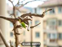 永州市隔远方计算机有限公司