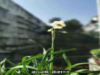 永州市隔远方计算机有限公司