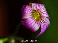 永州市隔远方计算机有限公司