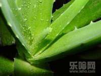 永州市隔远方计算机有限公司
