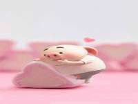 永州市隔远方计算机有限公司