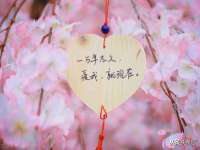永州市隔远方计算机有限公司